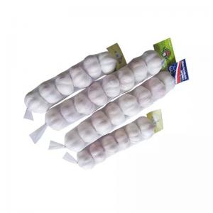 Industrial Drawstring Sinbom Plastic Garlic Mesh Bag for Agriculture and Farmin