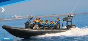  32 Feet Inflatable Rib Boat Large Passenger Ship For Army Patrolling / Rescuing Manufactures