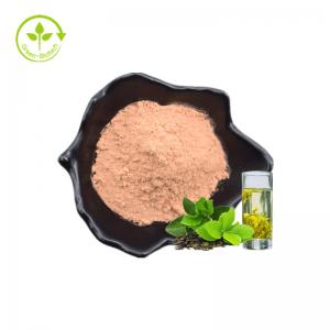 China Green Tea Leaf Extract Powder 98% Tea Polyphenols 90% EGCG 40% Catechin on sale