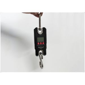  Multi Units Conversion Electronic Crane Scale With Overload Protective System Manufactures