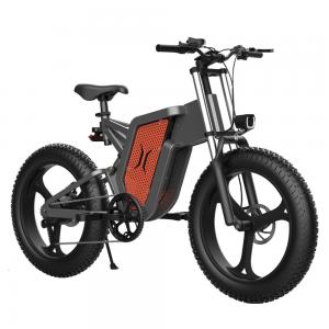 China New Designer 1000w 48v10ah faster charging 20 x 4 ebike tires ebike torque arm ebike tricycle adult for bulk sale on sale