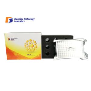  Sandwich Type Mouse Vitamin D3 ELISA Kit For Laboratory Research Manufactures