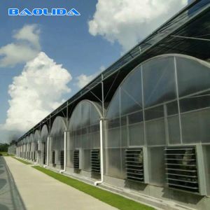 Buy cheap Multi Span Vegetable Animal Flower Growing Agriculture Polycarbonate Sheet from wholesalers