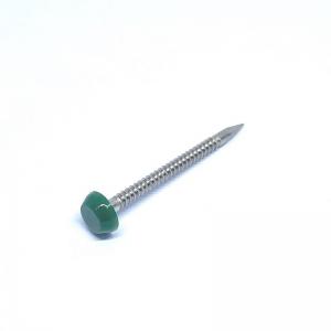  Polished SS316 Plastic Round Cap Roofing Nails With Annular Ring Shank Manufactures