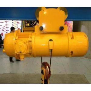 5 - 350t Load Explosion Proof Overhead Crane With Different Hooks