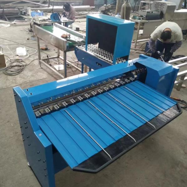 Quality Chicken Egg Sorting Machine Egg Size Sorting Machine Basic Egg Sorting Machine for sale