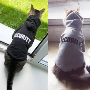  Eco Friendly Cute Cat Hoodie , Warm Pet Costumes For Small Dogs Manufactures