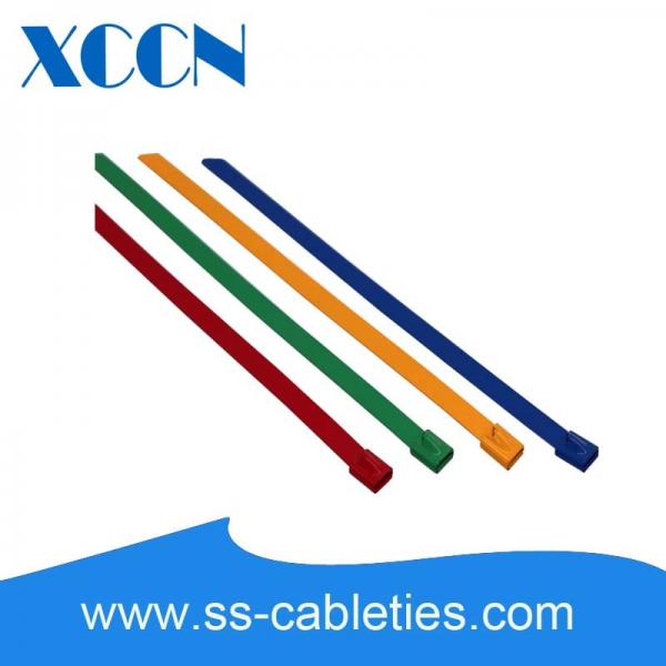 Quality Tiny Zip Plastic Coated Stainless Steel Cable Ties Fasteners With Loops Screw Holes for sale
