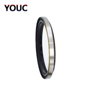 High Temperature Dkb Dust Seal NBR Metal Outer Iron 30 X 42 X 6mm Durable Dust
