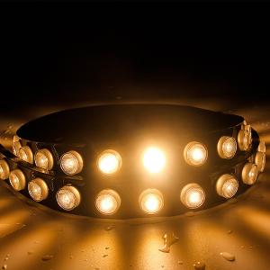  IP67 SMD2835 42pcs Flex Wall Washer Led Strip Light With Lens Manufactures