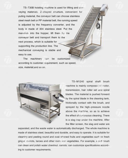 Stainless Steel Fruit And Vegetable Processing Line Potato Picking Hair Roller Bubble Washing Machine