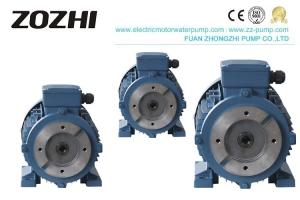  Hydraulic Electric Hollow Shaft Motor Three Phase 380V Aluminum Housing Low Noise Manufactures