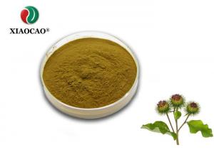 China Brown Yellow Freeze Dried Powder Natural Burdock Root Extract Powder on sale
