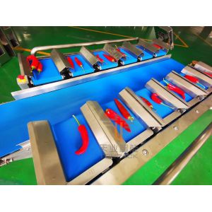  Chili Vegetables 2000g 12 Belt Fruit Multihead Weigher Manufactures