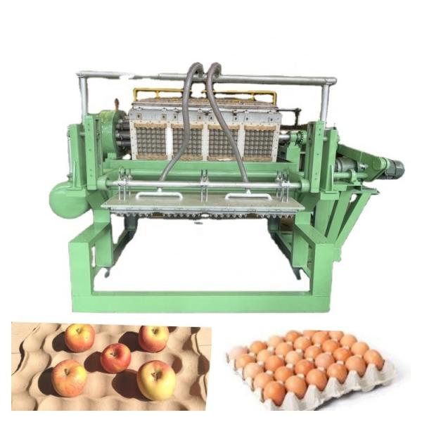 Eggs Packaging Waste Paper Egg Tray Machine/Egg Tray Pulp Molding Machine With PLC Controlled