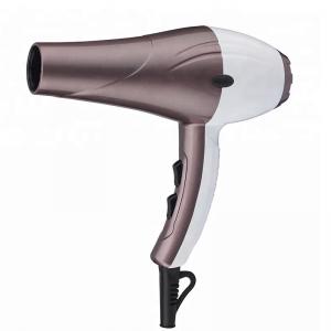  AC Motor Lightweight Professional Hair Dryer With 2 Speed 2 Heat Function Manufactures