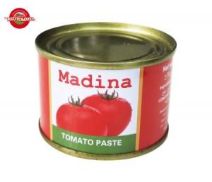  70g Canned Tomato Paste Manufactures