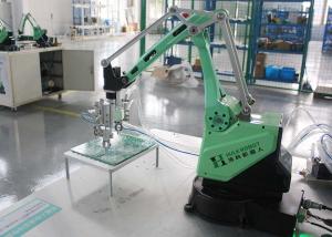  3 Axis 4 Axis Programmable Handling Palletizing Robot Arm Manufactures