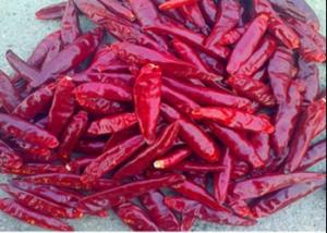 China Tientsin Dried Birds Eye Chilli Anhydrous Whole Red Peppers XingLong on sale