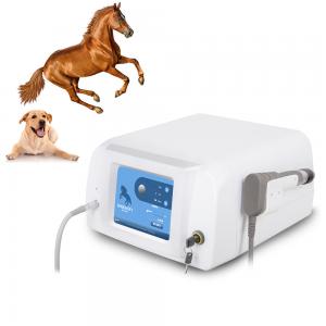  Professional Portable Ultrasound Therapy Pain Relief Horse Veterinary Shockwave Machine Manufactures