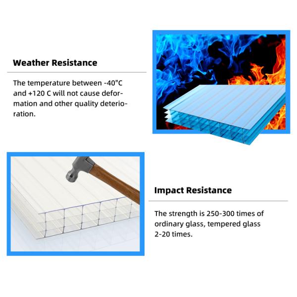 Eco-Friendly Durable Polycarbonate Hollow Sheet with Customized Length for Greenhouse Applications