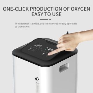  Mini O2 Concentrator Machine 10lpm For Hospital And Home Manufactures