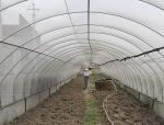 agricultural greenhouse anti insect net, insect proof anti aphid net