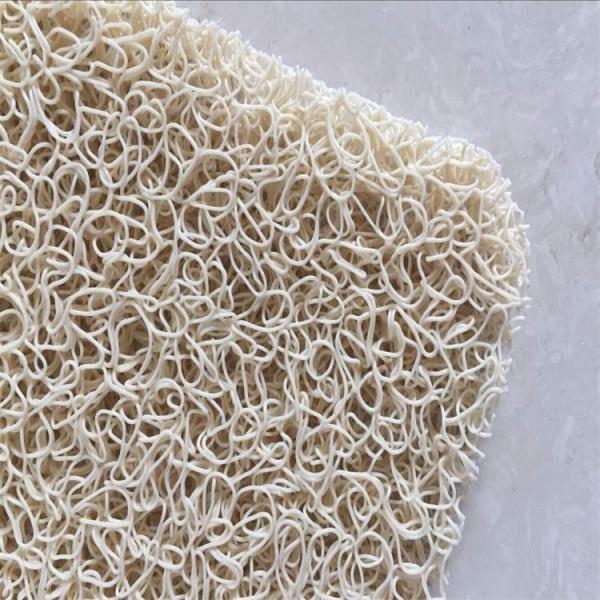 Commercial Entry Mat Without Backing Shaggy Pattern Machine Made Technics