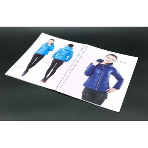 Flexo A3 Flyer Printing Instruction Booklet Printing Bi Fold Brochure