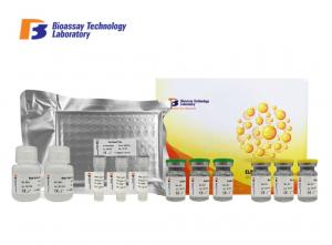  1.53ng/L Specificity Canine ELISA Kits Vasoactive Intestinal Peptide VIP ELISA Manufactures