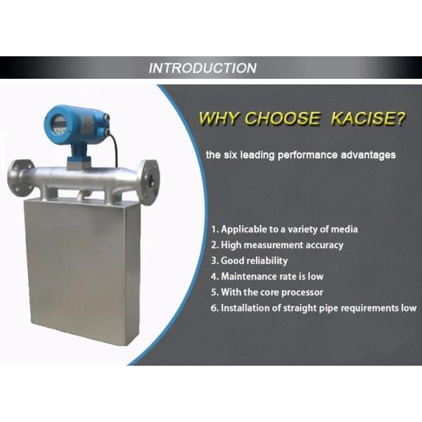 2020 Petroleum Mass Flowmeter with Low Cost Made In China