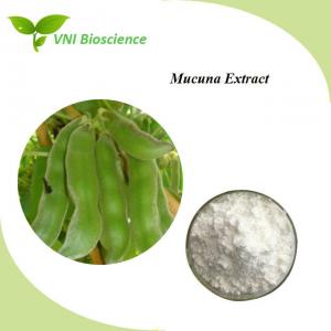 Natural Velvet Bean Seed Extract / L Dopa Mucuna Pruriens Extract Manufactures