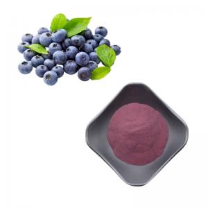 China Natural Blueberry Extract Powder Wild Organic Bluebery Extract Freeze Dried Blueberry Powder on sale