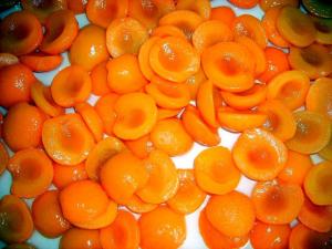 China New Crop Fresh and Nutritious Canned Apricot Halves in Syrup Golden Sun on sale