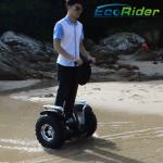 Off Road 2 Wheel Electric Scooter Personal Transportation Vehicles Self