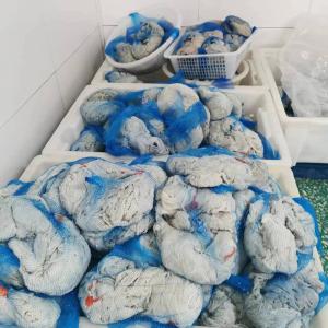 China Easy To Digest Sheep Sausage Casing 24mm Good Air Permeability on sale