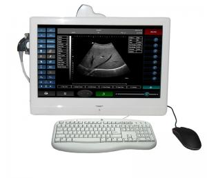 China Touch Screen Ultrasound With Cardiac And Transvaginal Probe on sale