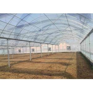 Stable Structure Polyethylene Plastic Greenhouse High Wind Resistance Customized