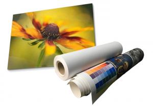  Latex Matte Waterproof Polyester Canvas Roll Eco Solvent 280gsm Manufactures