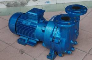 China 2BV5121 Single Stage Water Ring Vacuum Pump on sale