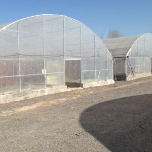 China LiTai Greenhouse High Tunnel Greenhouse for Agricultural Plants Growing Instruction on sale