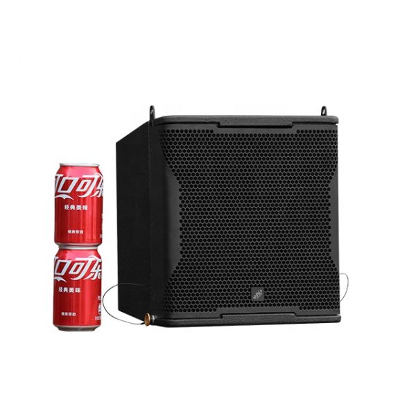 ARE Audio Passive Single 10 Inch Full Range PA System Professional Speakers for Outdoor Indoor