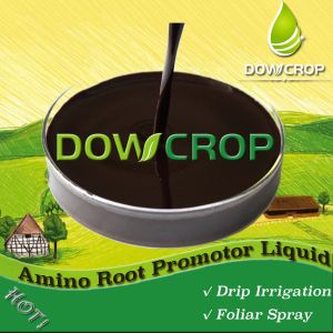 Buy cheap ROOT PROMOTOR@ AMINO POLYPEPTIDE LIQUID DOWCROP HIGH QUALITY HOT SALE 100% WATER from wholesalers