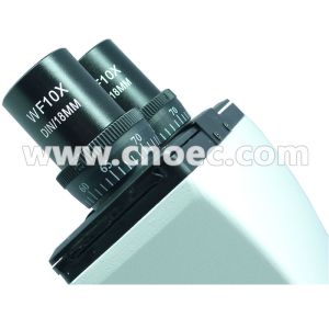 Portable Biological Microscope