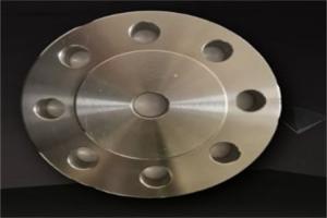 China Flange With Ring Joint Gasket For Offshore Drilling Platforms In Harsh Environments Copper Nickel on sale