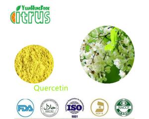 China Sophora Japonica L Extract Organic Quercetin Powder Lowering High Blood Pressure on sale