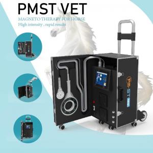 China Equine Magneto Therapy EMTT PEMF Physiotherapy Machine For Muscle Swelling And Inflammation on sale
