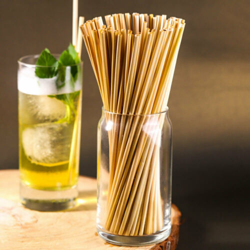 Customized Design Biodegradable Paper Drinking Straws Earth Friendly BAP Free