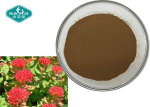 China Rhodiola Rosea Extract Salidroside 1.0 - 3.0% Rosavin 1.0 - 3.0% on sale