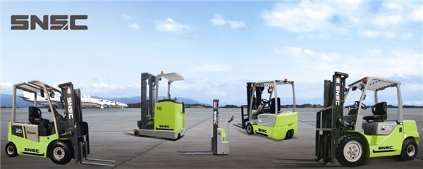 2.5ton Diesel Forklift with Tcm Technologie and Customized Request